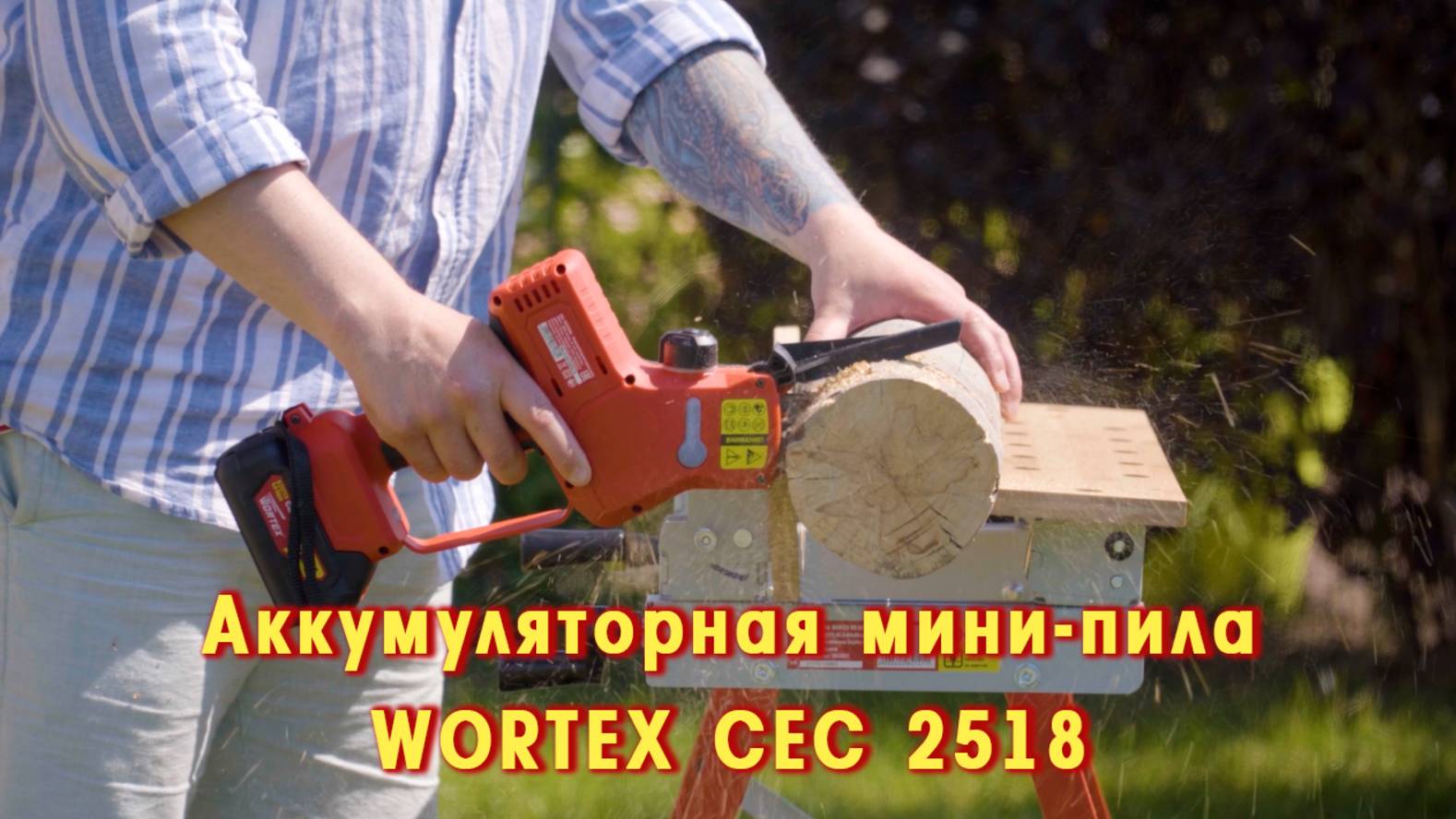 WORTEX CEC 2518 Аккумуляторная мини-пила