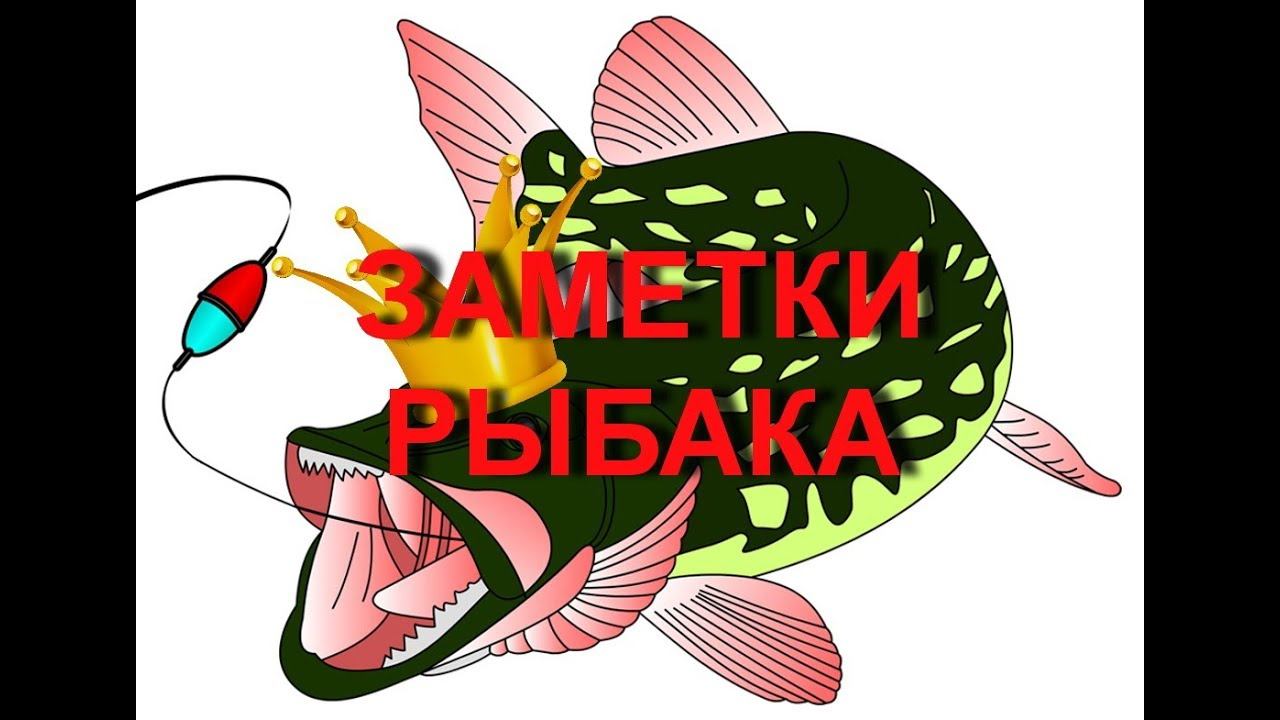 Ловля щуки ранней весной ЩУКА НА МАЛЫХ РЕКАХ. Спиннинг и воблер. ОТКРЫТИЕ РЫБАЛКИ.