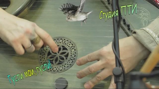 Гусли