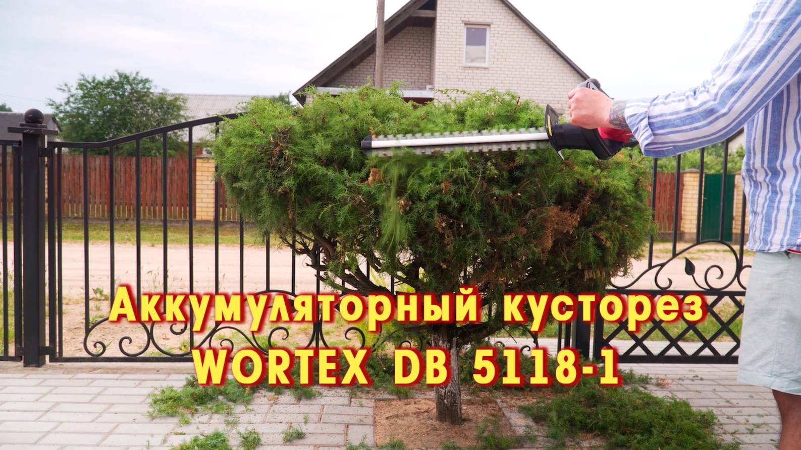 WORTEX DB 5118-1 Аккумуляторный кусторез