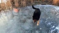 📹 Славянск. 11 февраля 2025г. Утро.