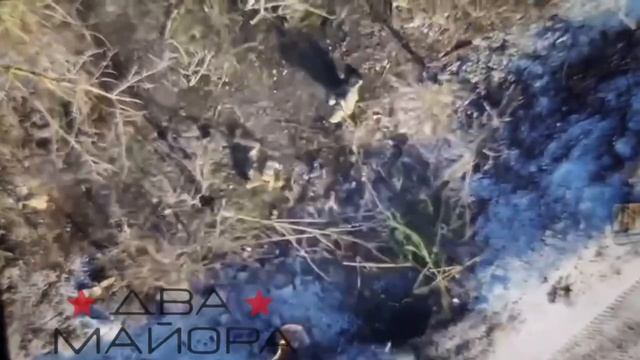 Курская область  По мере уничтожения живой силы ВСУ, брошенной на наши позиции на направление Ма...