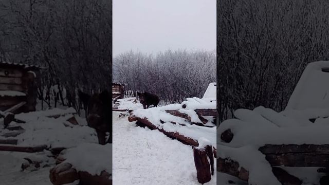 11-02-2025 новый день