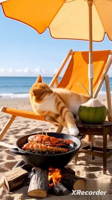 Кошка отдыхают в моря