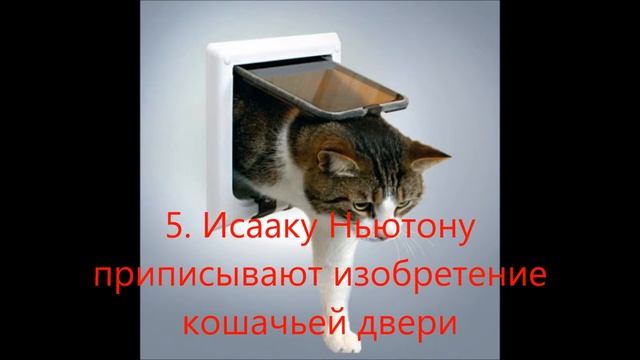 10 фактов о кошках)