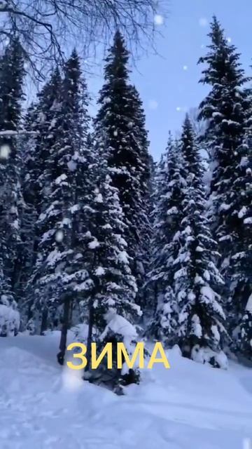 Зима в Сургуте