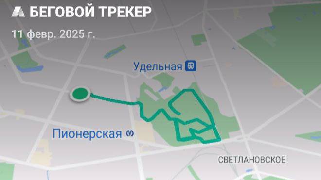 11.02.2025 г., ВТ_14,9 км=12,1 км + 2,8 км (заминка), красивый и вдохновляющий бег получился