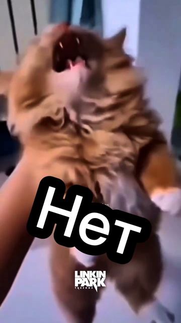 Тату в г. Ставрополь 89993799350