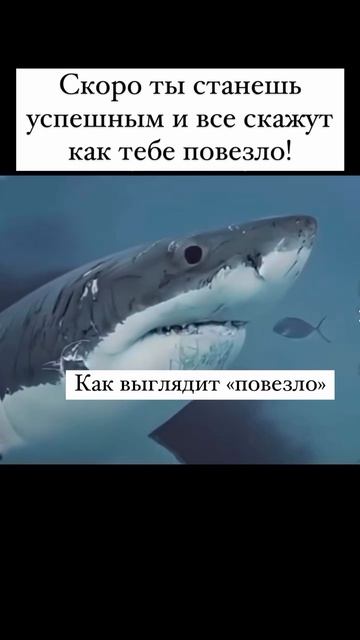Как выглядит опыт.