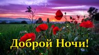 Доброй ночи