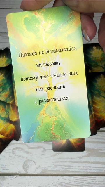 Подсказка Вселенной ❤️ 11-02-2025