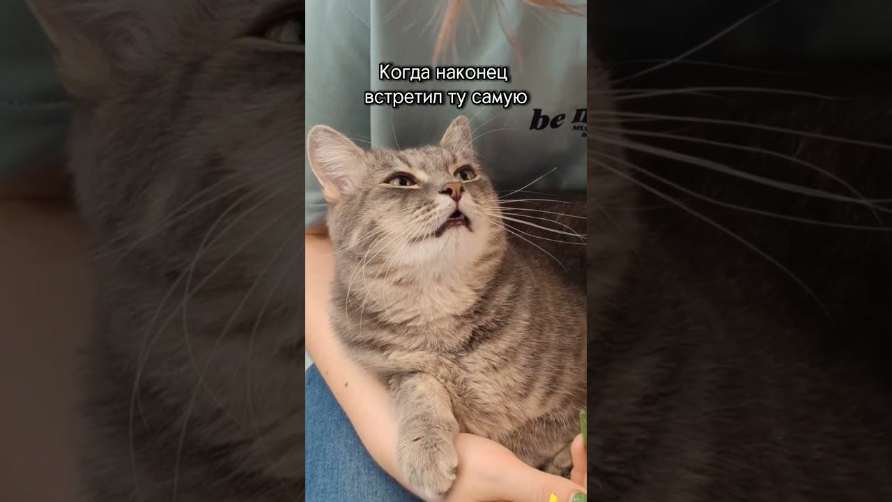 Отправь той самой❤️