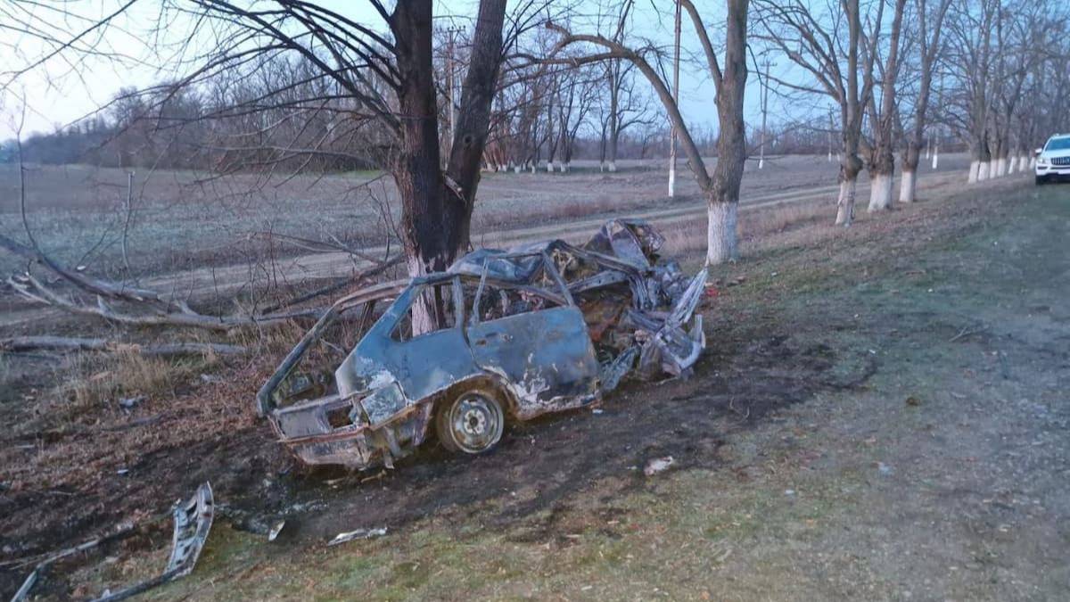 На Кубани легковушка врезалась в дерево и загорелась, водитель погиб