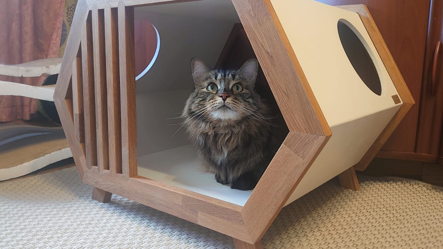 Домик для собаки Eco Progect Wood. сравнительный обзор