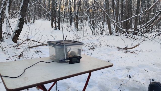 VID_20240105_151535