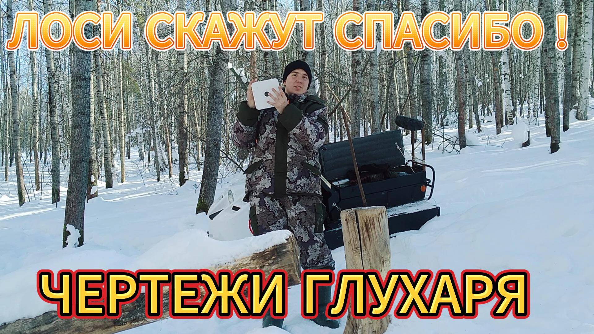 ЛАКОМСТВО ЛОСЕЙ . БИОТЕХНИЧЕСКИЕ МЕРОПРИЯТИЯ . ФЕВРАЛЬСКИЕ ЧЕРТЕЖИ ГЛУХАРЯ . МОРОЗ И СОЛНЦЕ .