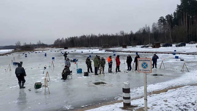 Запуск форели в водоем - 70кг