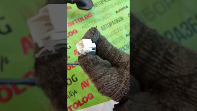 Киа Спортейдж 4 проводка внутренняя на Крышку багажника KIA Sportage 4