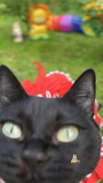 Красоты вам в ленту!😻❤️