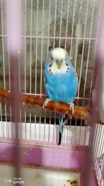 сидим отдыхаем