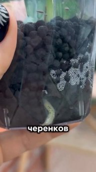 ЧЕРНАЯ ИКРА ДЛЯ РАСТЕНИЙ