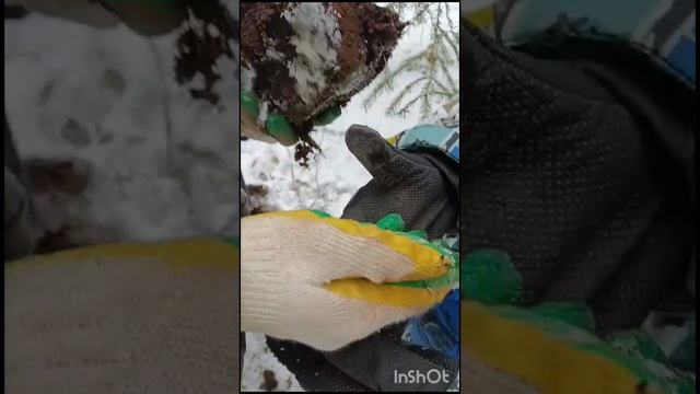 открыли семейный сезон.