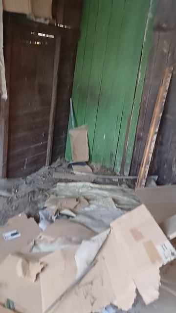 Большой брудер для цеплять в холодное время)