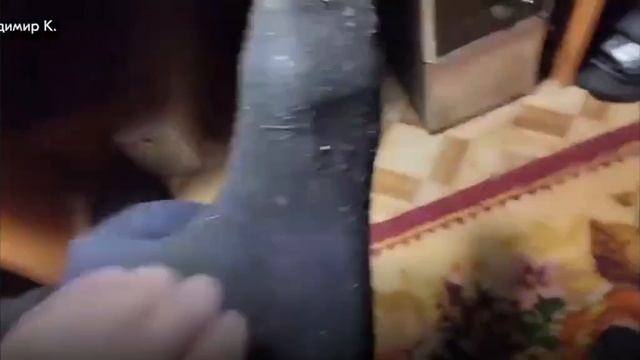 Напоминаем, братцы, носки Пехота уберегут ваши ноги, это не одежда, а необходимая экипировка.   ...