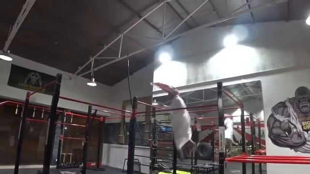 Arabian Workout . Bahrain . Russia . Battle of the Bars .Yashka Voronov . Fristyle