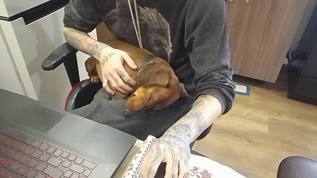 Удалённая работа на горячей линии Remote work on the hotline 
Remote-Arbeit an der Hotline  Working