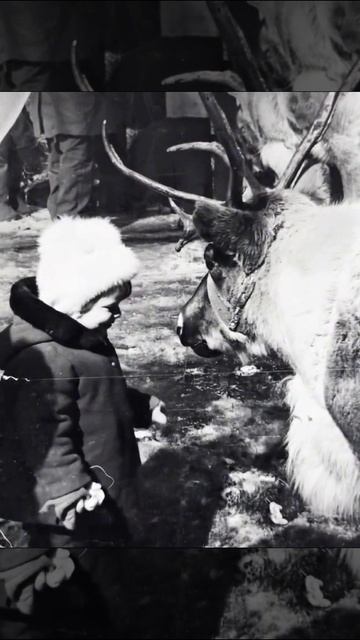 Знакомство. Чудесный черно-белый кадр 1976 года ожил благодаря нейросети в 2025 году.