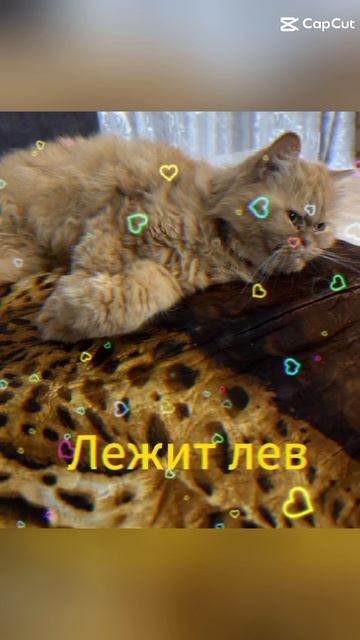 Наш лев