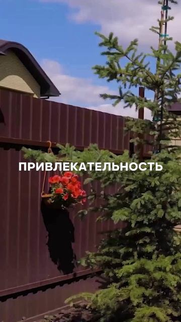 Елки