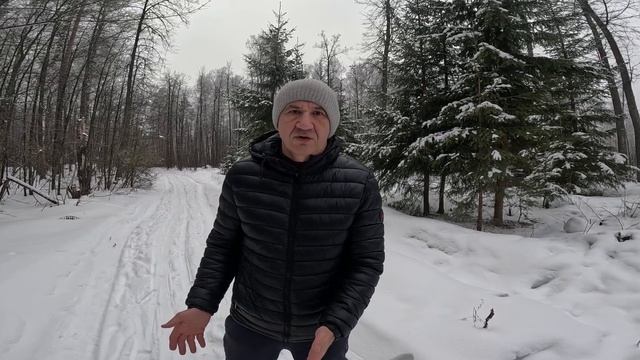 История из жизни. Ковер ушел под хвост