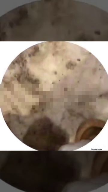 video_2025-02-11_18-26-44