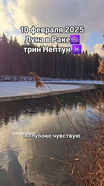 #10февраля2025 #гороскопдня
