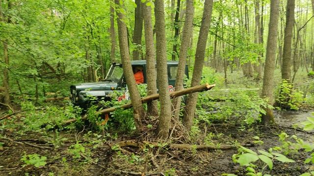 VID_20240518_114904