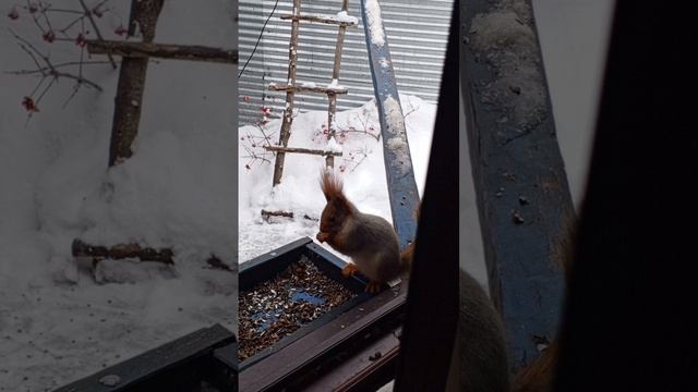 1000378373.mp4