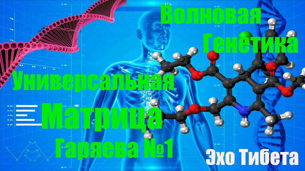Универсальную Матрица Гаряева №1 #исцеление