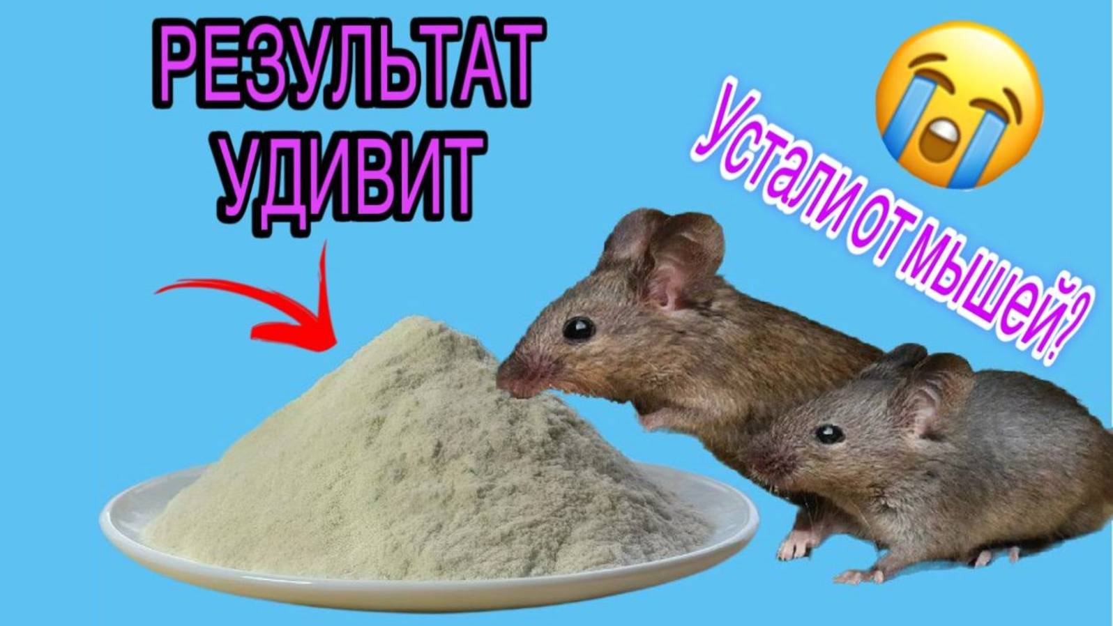 Надоела мышиная возня и я нашёл простое средство.