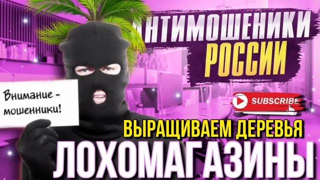 ЛОХОМАГАЗИНЫ // ВЫРАЩИВАЕМ ДЕРЕВЬЯ  / ФАТИМА И МОШЕННИКИ #мошенники #развод