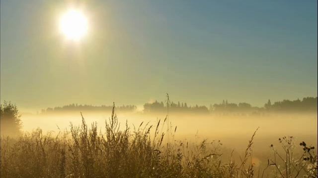 ЖУРАВЛИ НАД АХТЫРКОЙ
муз и исп.-Демин В.стихи-Акиничев Ю.