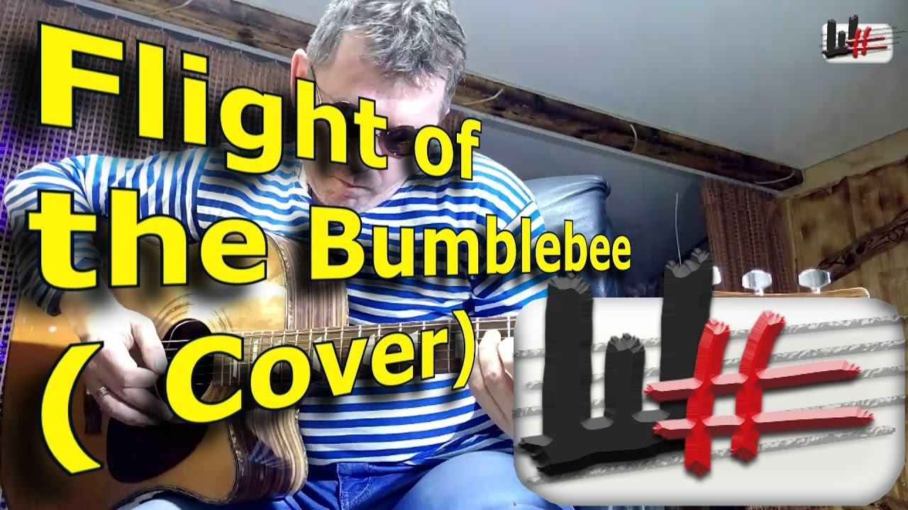Flight of the Bumble bee Cover by Oleg Kolovrat Полёт шмеля кавер Олег Коловрат