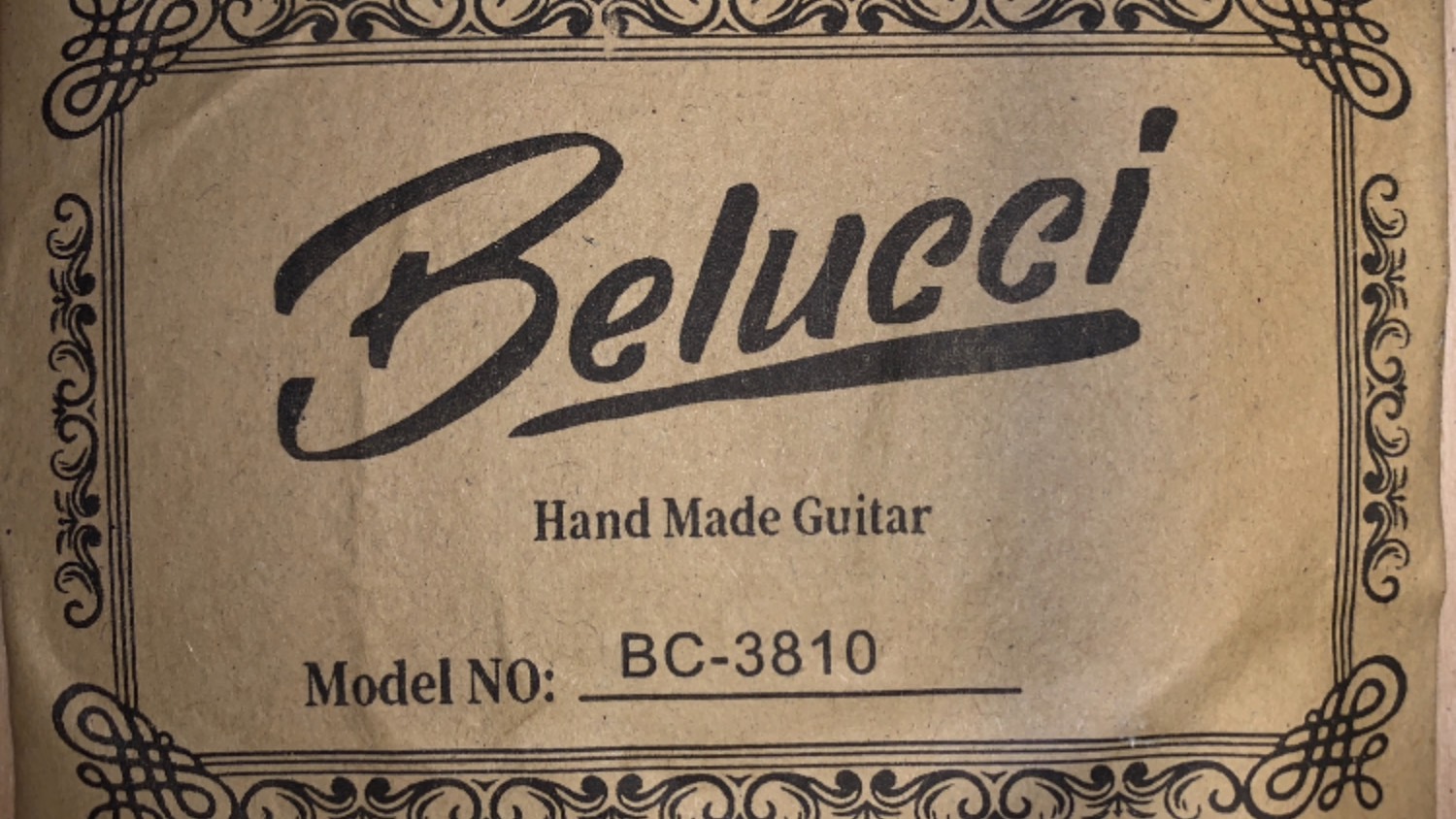 Гитара Belucci BC-3810 чёрная - С чего начинается Родина?