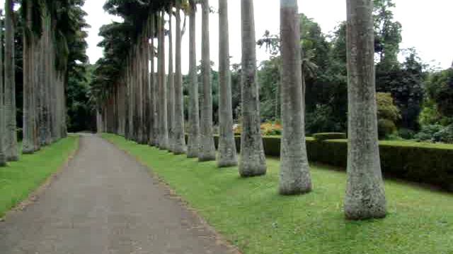 Шри ланка Ботаничка