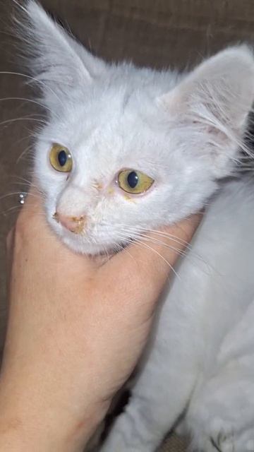 А у нас как то так