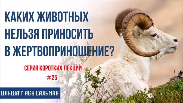 Ильшат_Абу_Сальман_Каких_животных_нельзя_приносить_в_жертвоприношение25