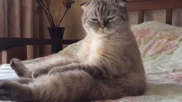 я после школы