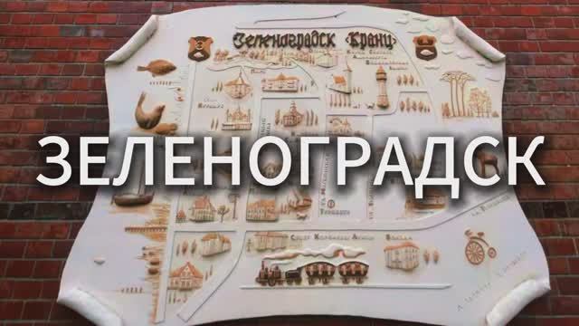 Зеленоградск I Куршская коса I Танцующий лес