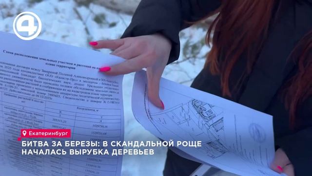 Битва за березы: в скандальной роще началась вырубка деревьев